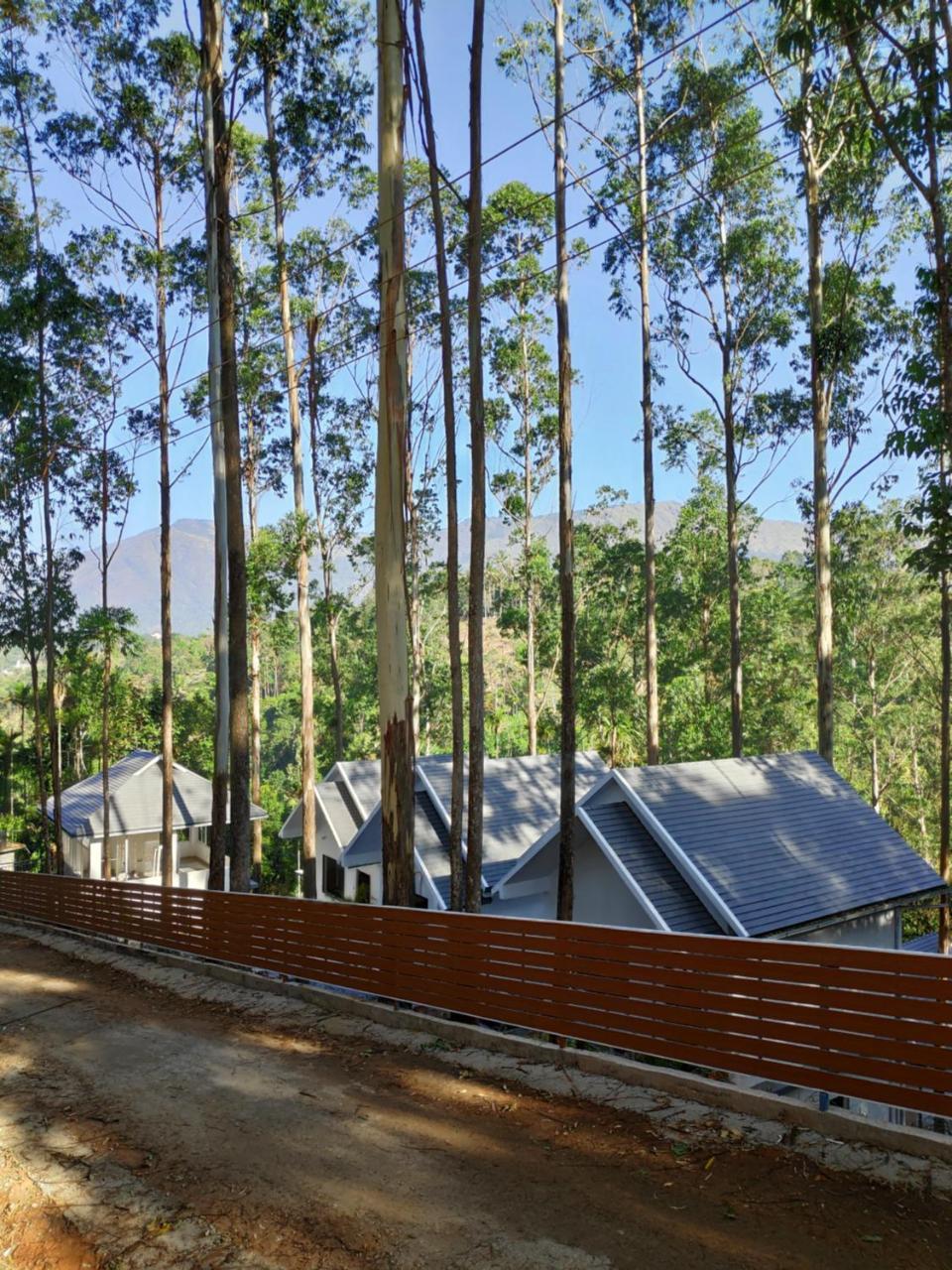 Resort Eucalyptus Munnar