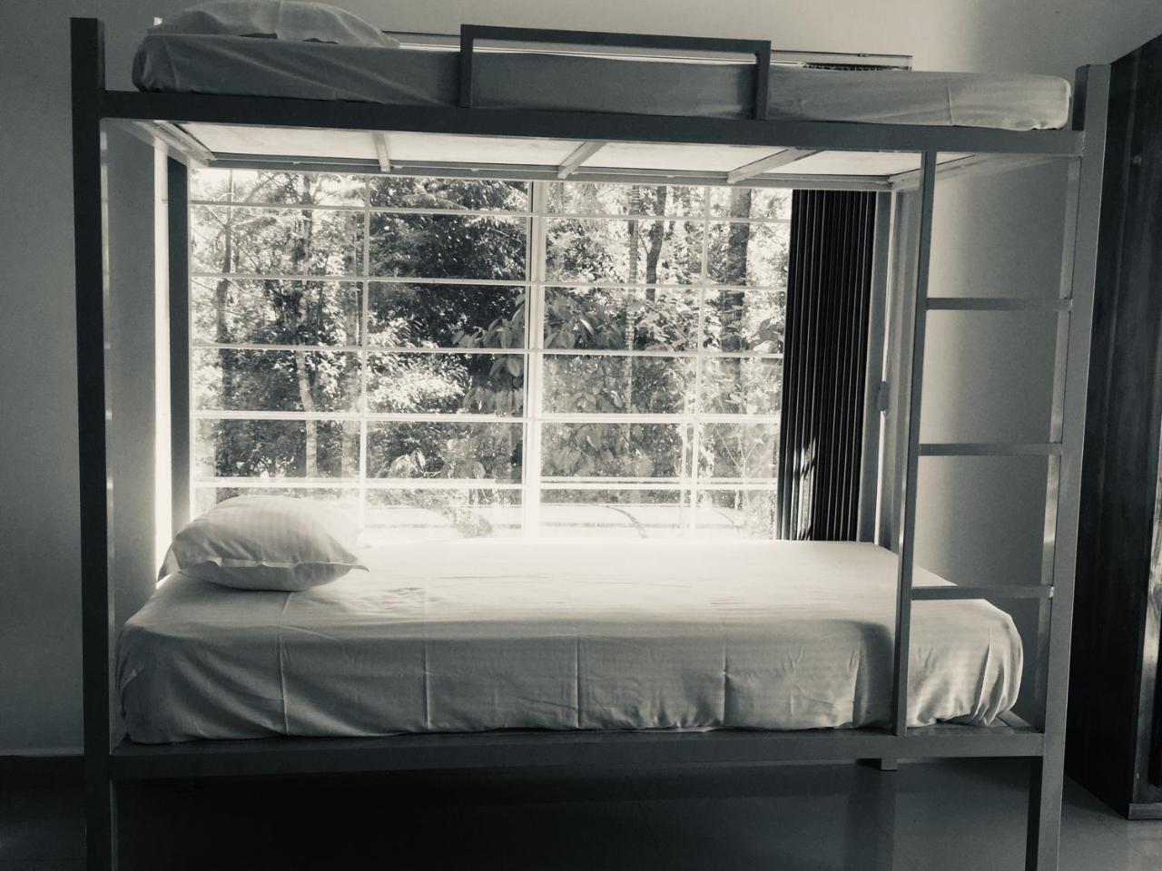 The Lost Hostel, Hostel *