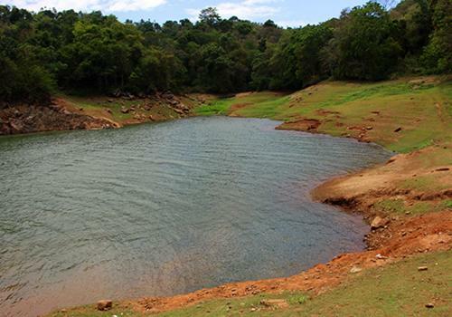 Darpana Holiday home Munnar