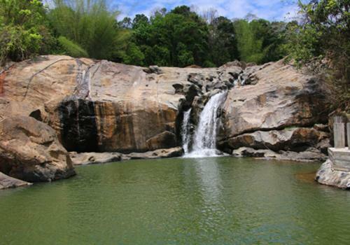 Holiday home Darpana Munnar