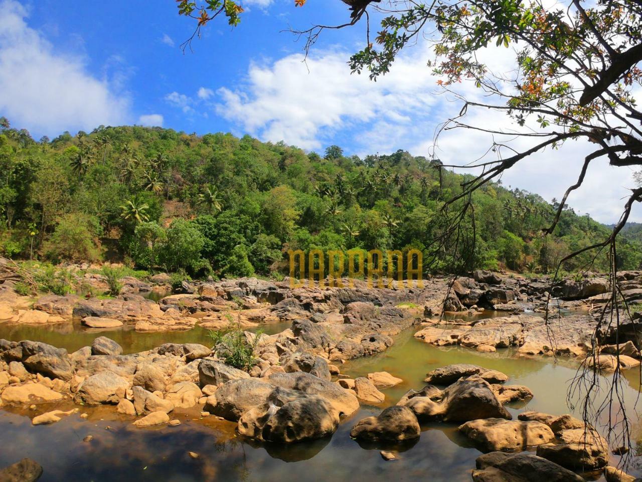 Holiday home Darpana Munnar