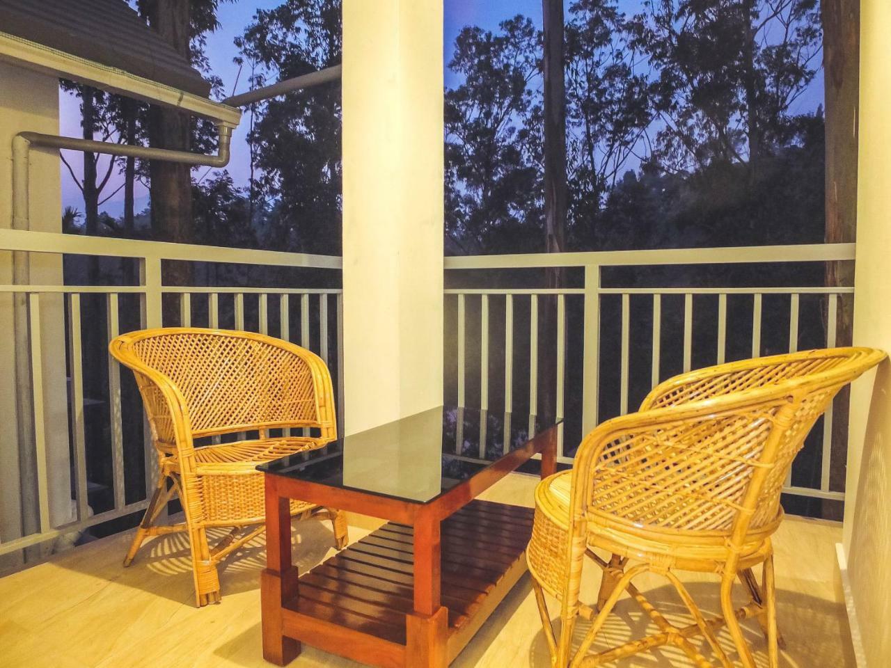 Eucalyptus 4*