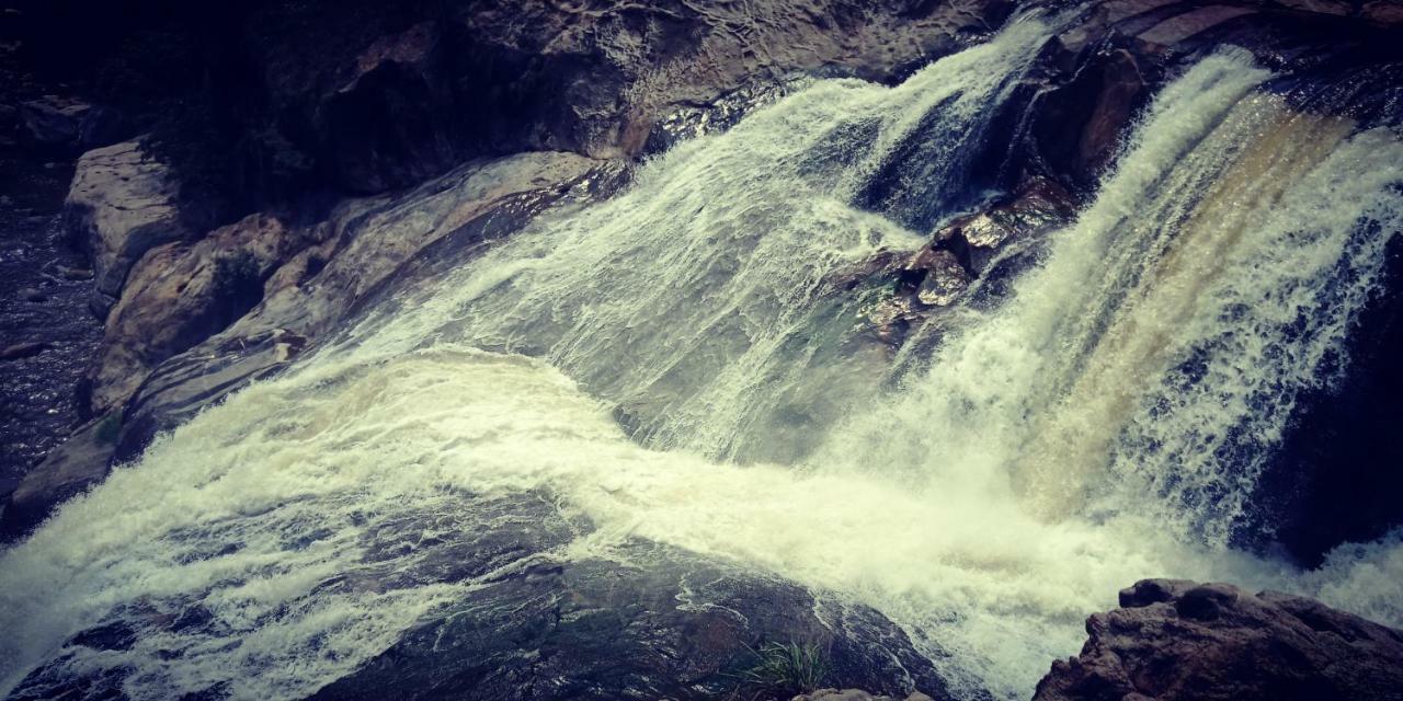 The Wayside Munnar