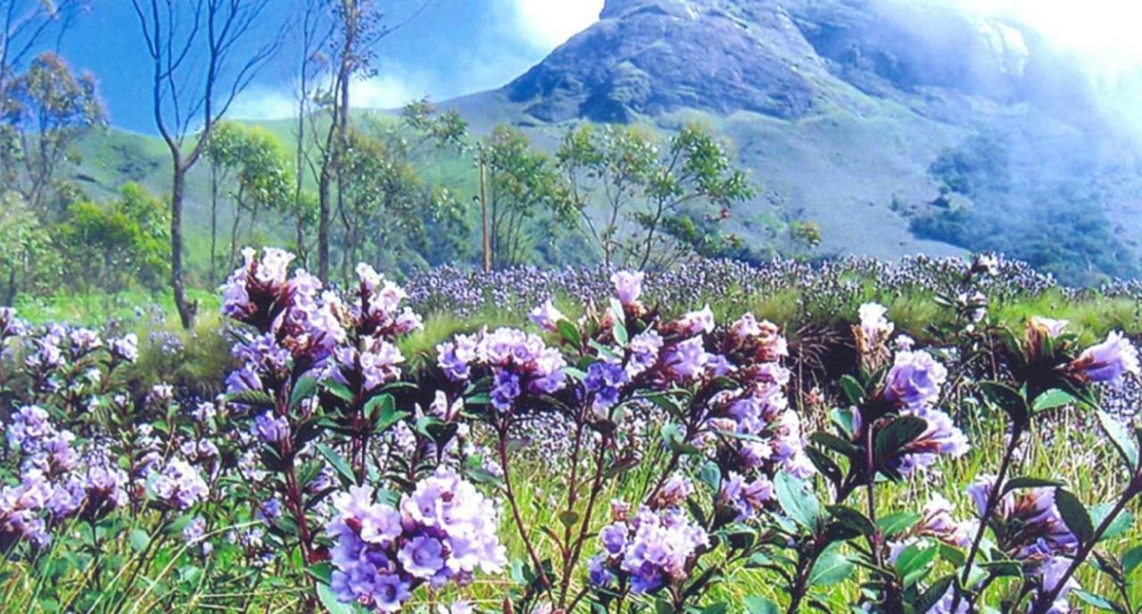 Hotel Seven Springs Munnar