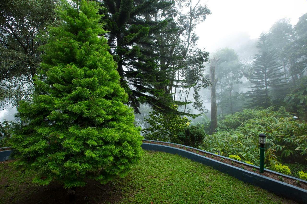 Bracknell Forest 3* Munnar