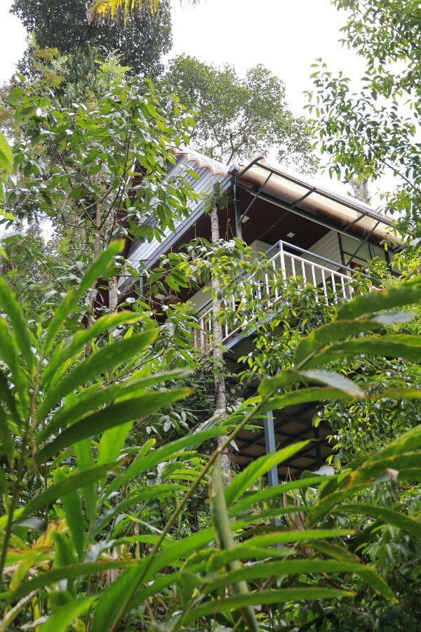 Farm stay The Wayside *