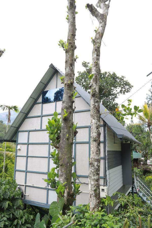 The Wayside * Munnar