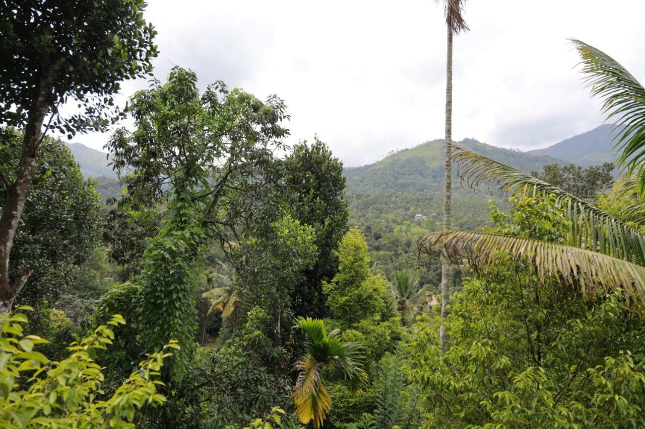 The Wayside Farm stay Munnar