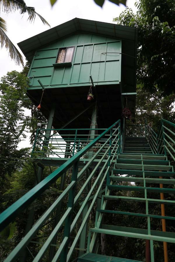 The Wayside Farm stay *