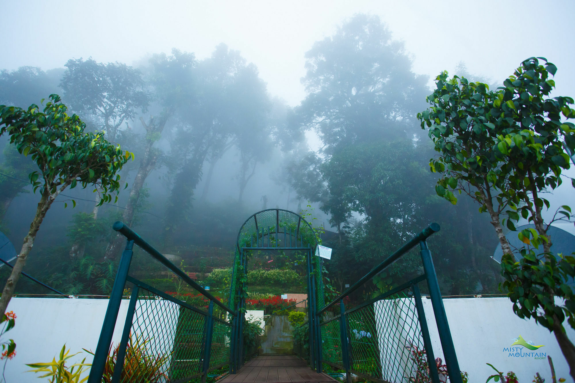 Misty Mountain Resort Munnar