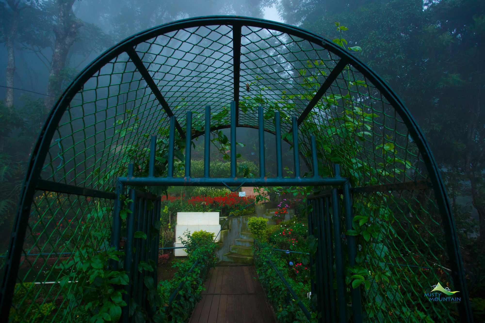 Misty Mountain Resort 3*
