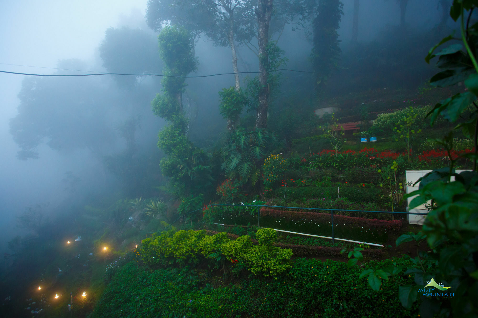 Misty Mountain Resort Munnar
