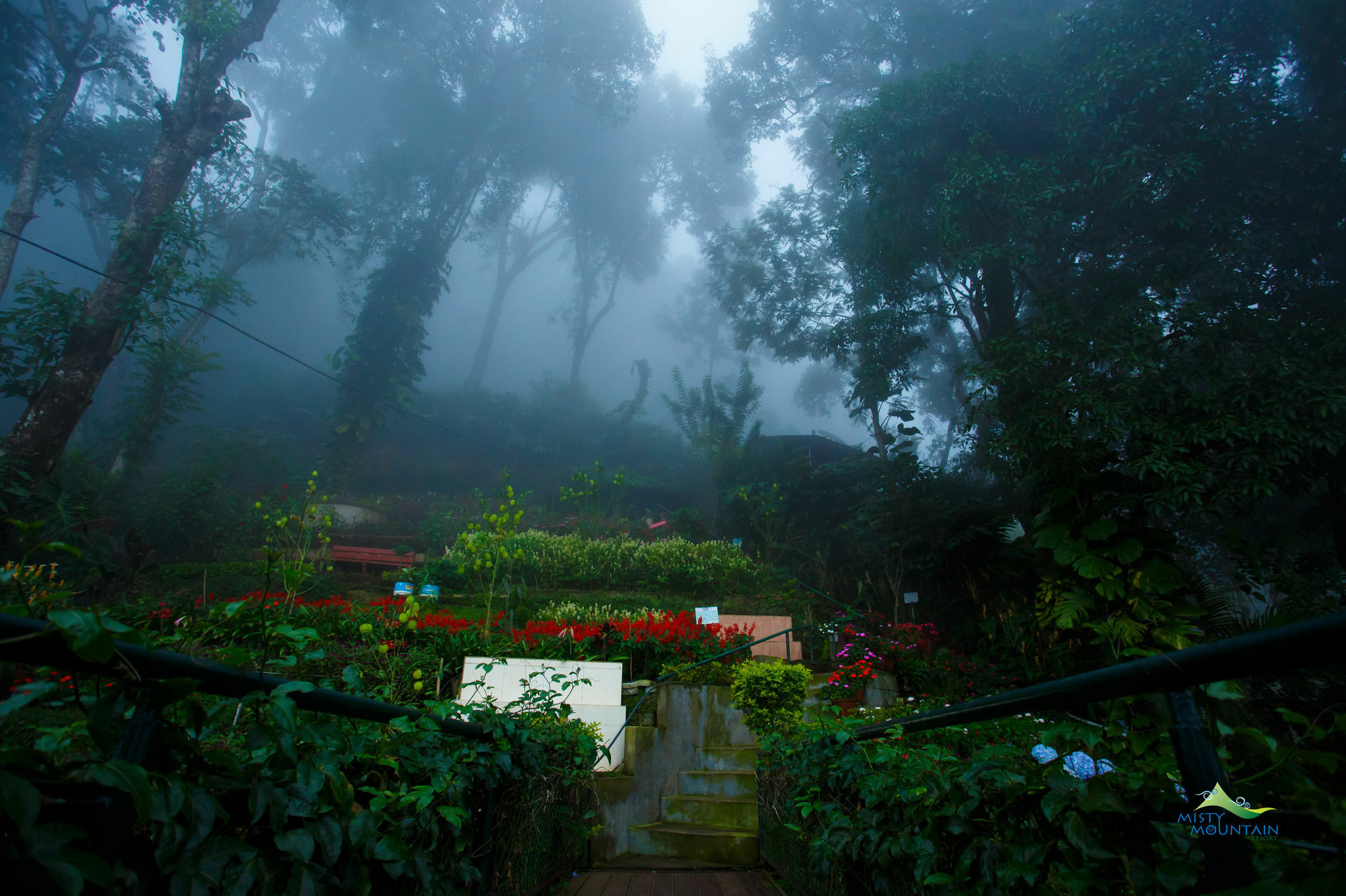 Misty Mountain 3* Munnar