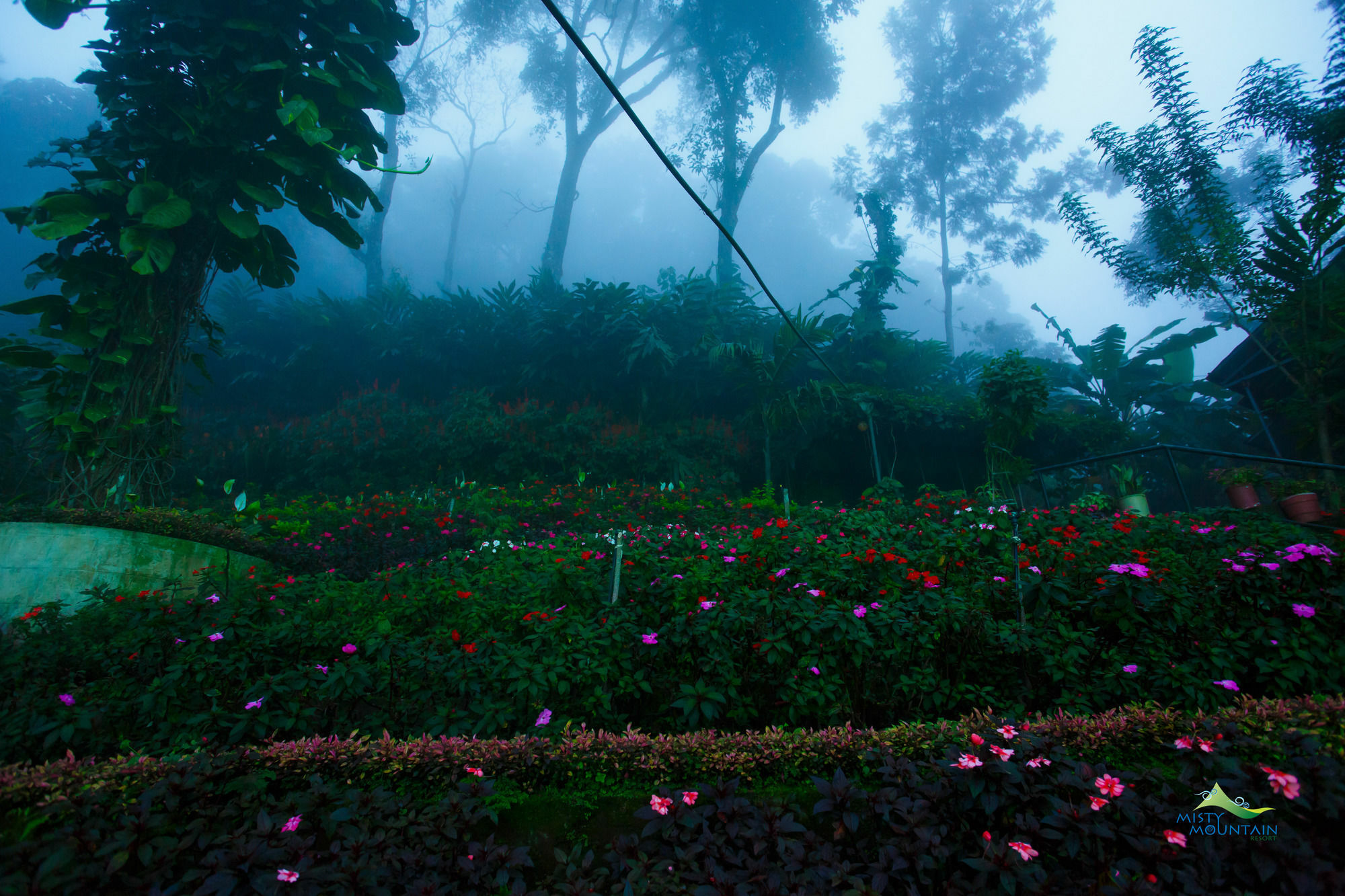 Misty Mountain 3* Munnar