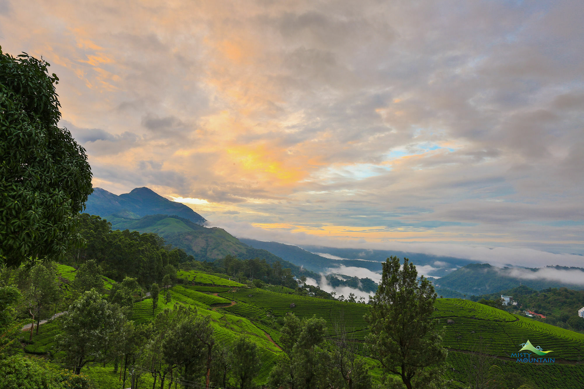 Misty Mountain