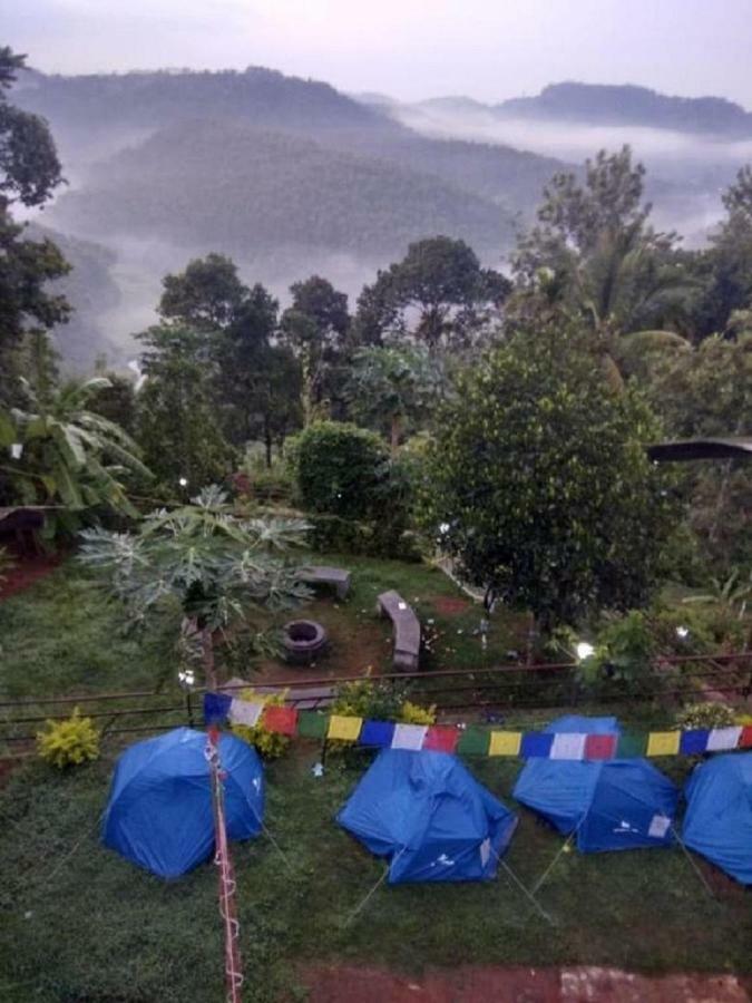 The Lost Hostel, Hostel