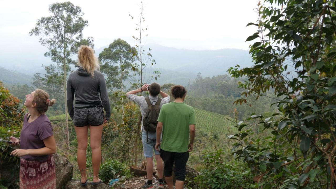 The Lost Hostel, * Munnar