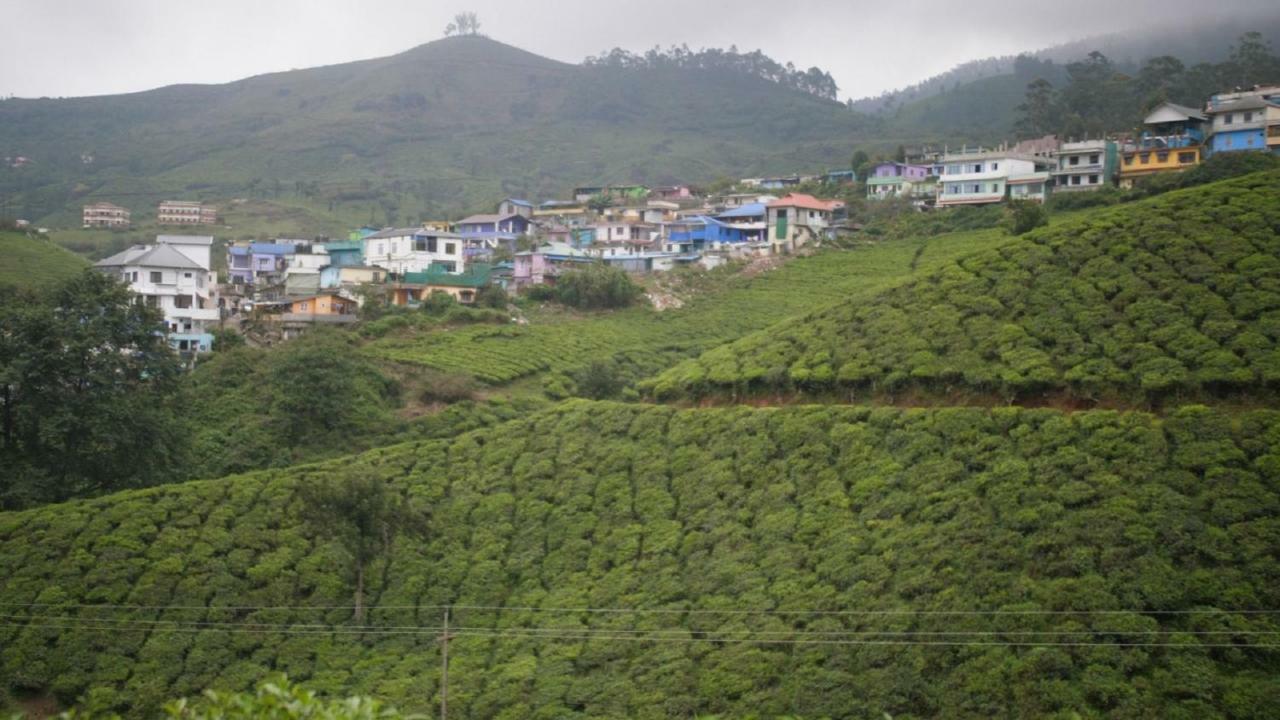 The Lost Hostel, Hostel Munnar