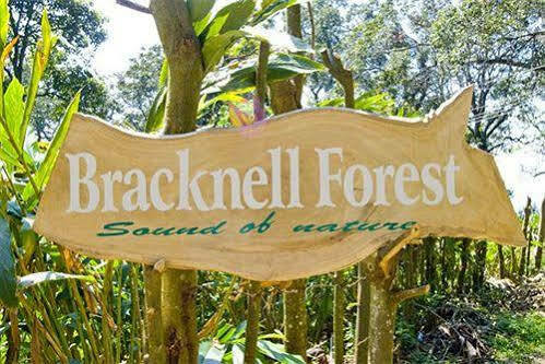 Bracknell Forest Hotel Munnar