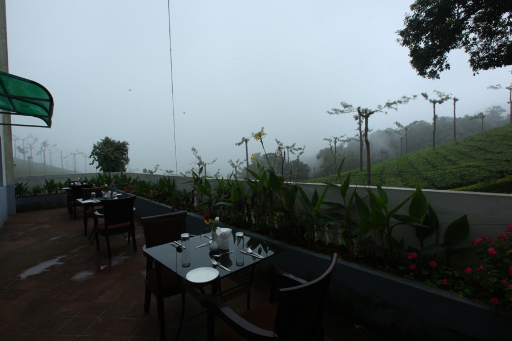 Oak Fields Munnar