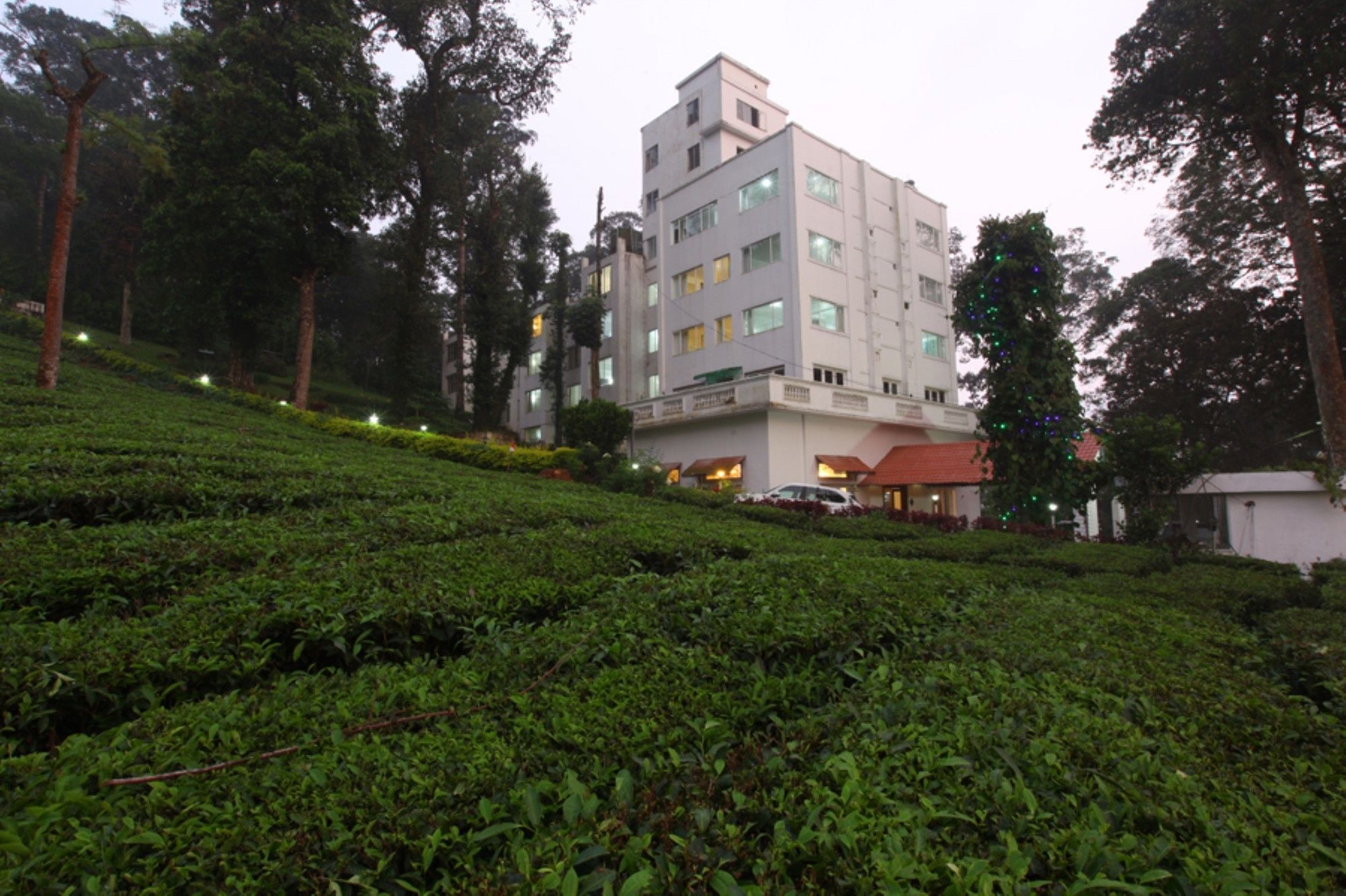 Oak Fields 3* Munnar