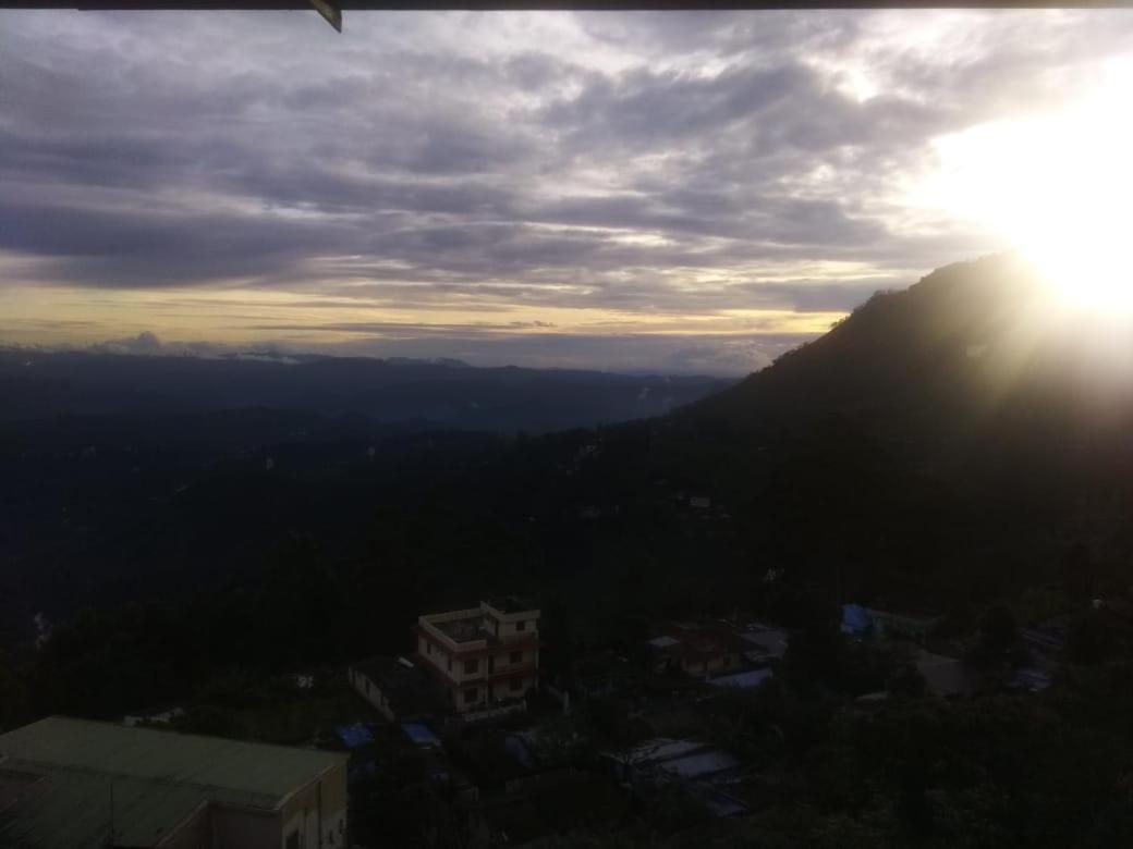 Shamrock * Munnar