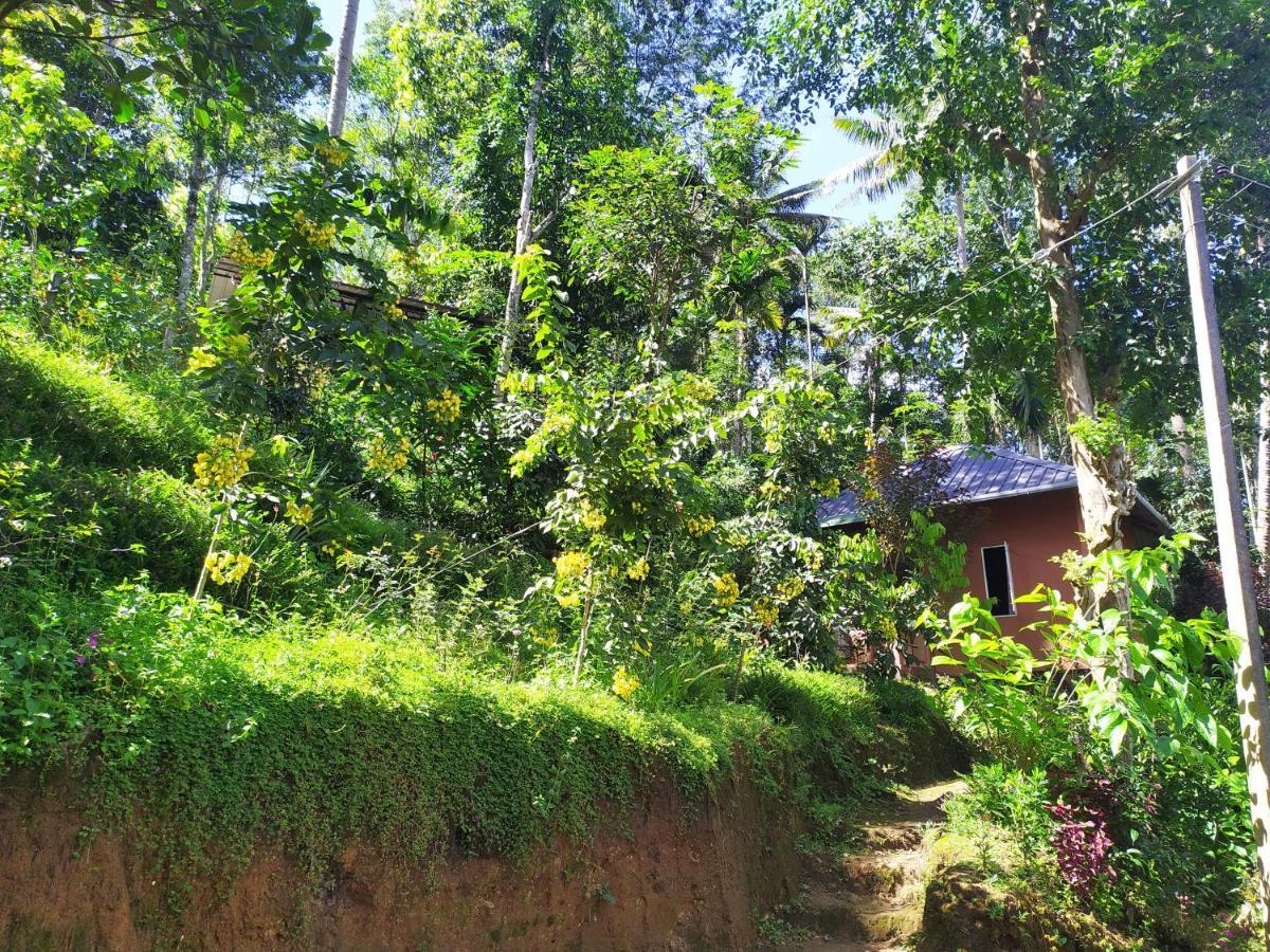 Pepper County Farm Munnar