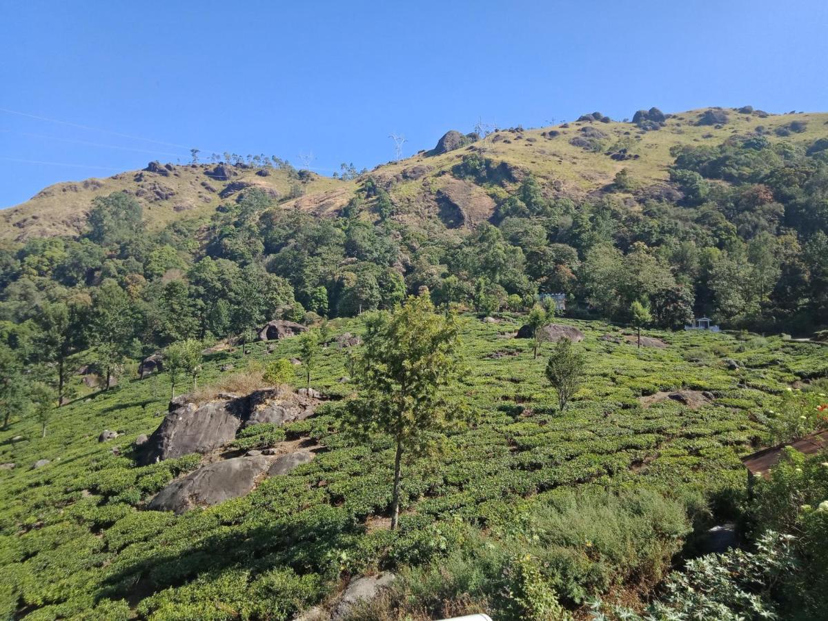 Tea Dale - With Tea Estate View Munnar