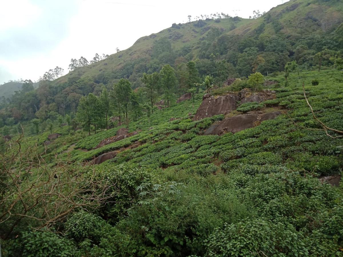 Tea Dale - With Tea Estate View Homestay