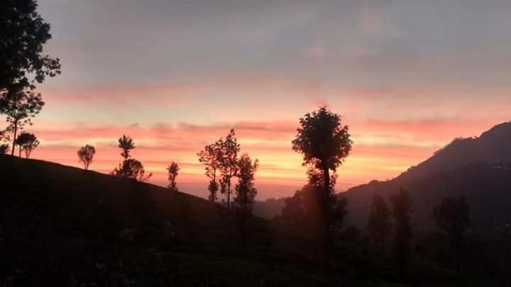 The Edge 3* Munnar