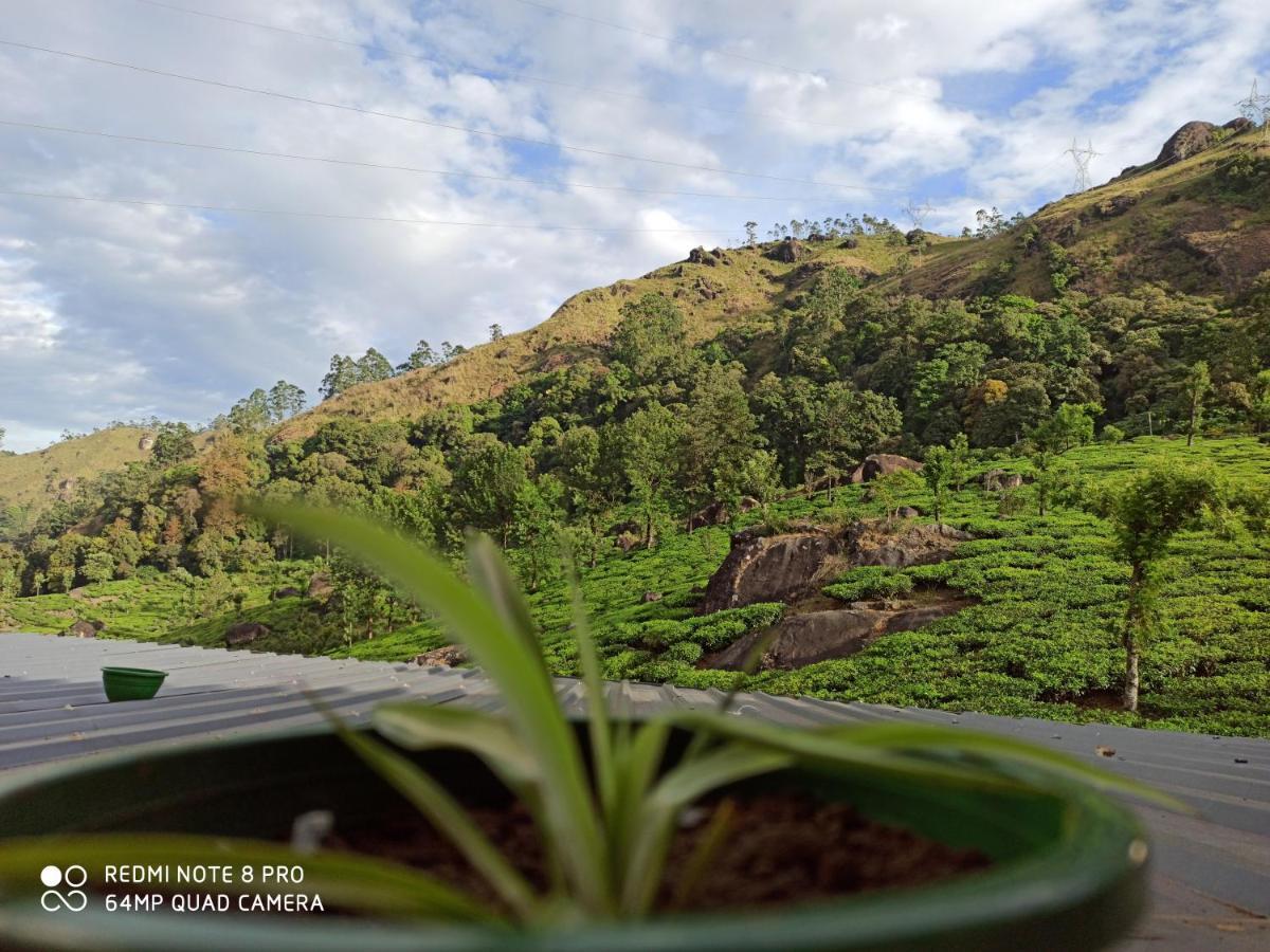 Homestay Tea Dale - With Tea Estate View *