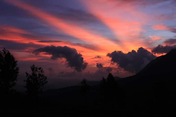 The Edge 3* Munnar