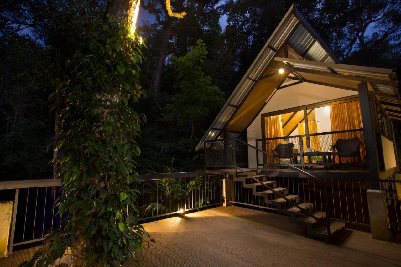 Bamboo Dale Resort, Munnar