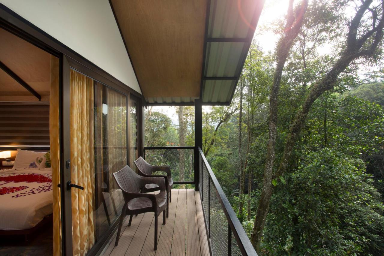 Bamboo Dale Resort, Munnar
