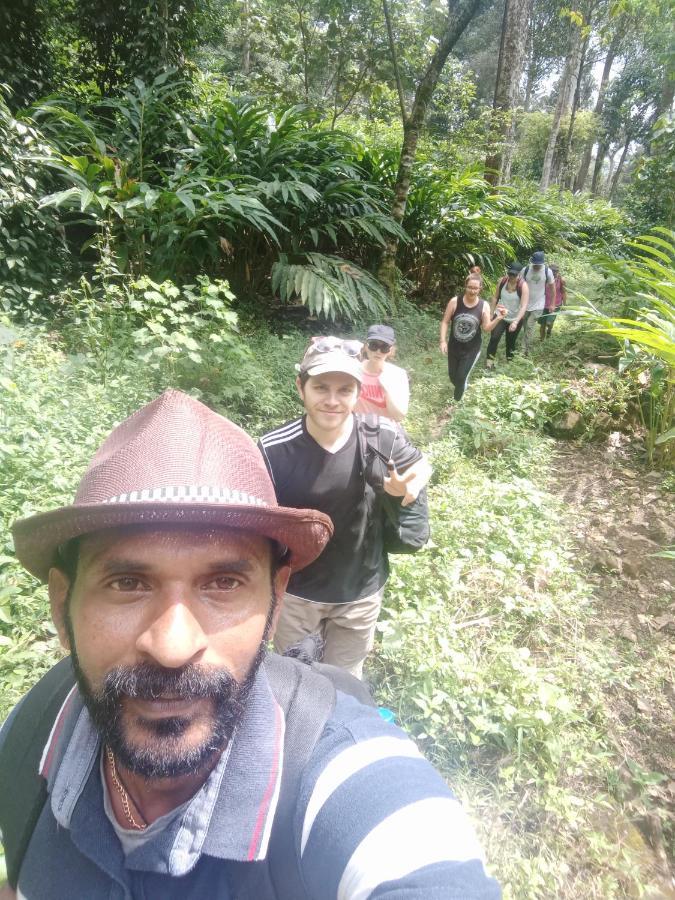 The Wayside * Munnar