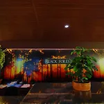 Munnar Black Forest Resort