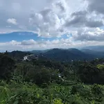 Munnar Tea Hills Resort - Mthr