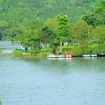 Munnar Lush Greens