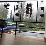 Birdwing Cottage, Munnar