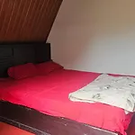 Vattavada Jungle Resort