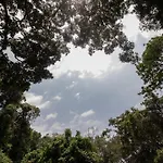 Wonderwoods Tent Camping Munnar