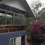 Misty Bush Munnar