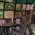Jungle Jive Tree House Munnar