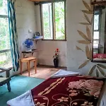 Jungle Jive Tree House Munnar