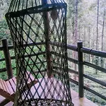 Jungle Jive Tree House Munnar