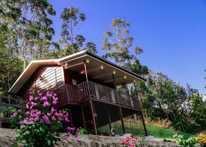Wild Orchid Eco Tourism