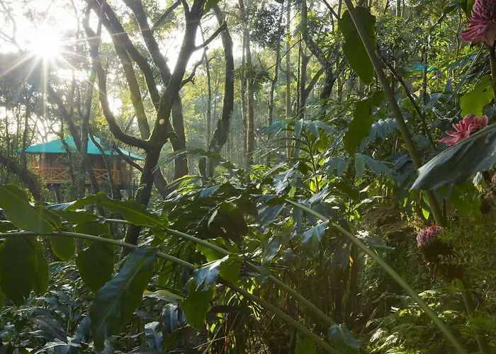 Dream Catcher Resort