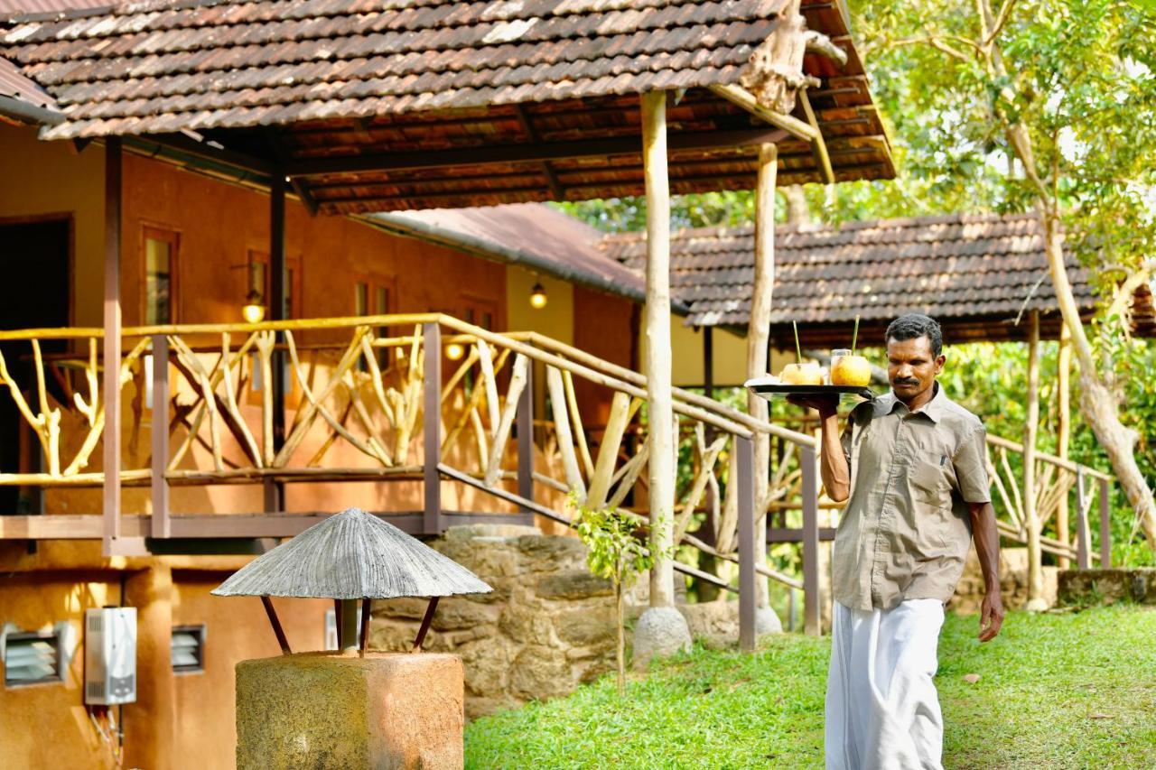 Beyond Eco Living * Munnar