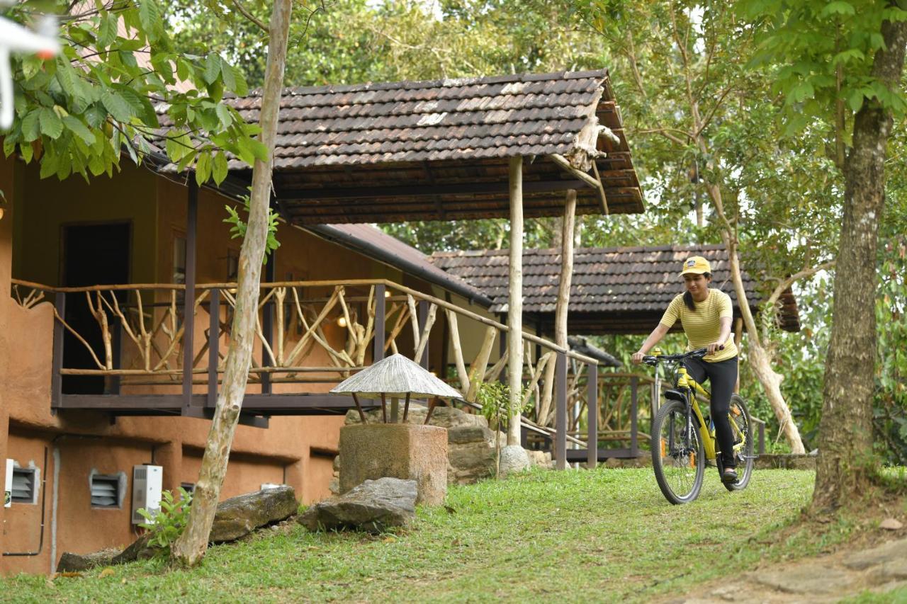 Beyond Eco Living Homestay *
