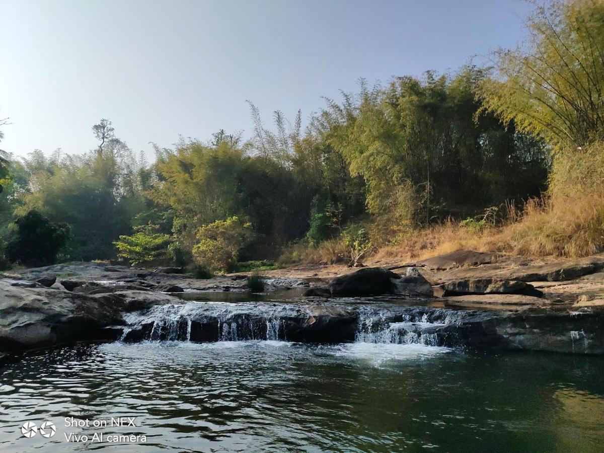 Homestay Beyond Eco Living Munnar